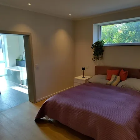 Grosszuegige In Innovativem Zero-emissionen Haus بوخوم