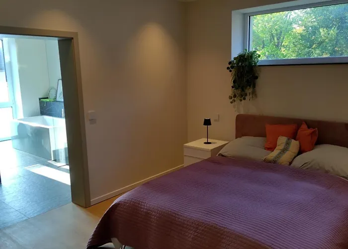 Grosszuegige In Innovativem Zero-emissionen Haus Bochum